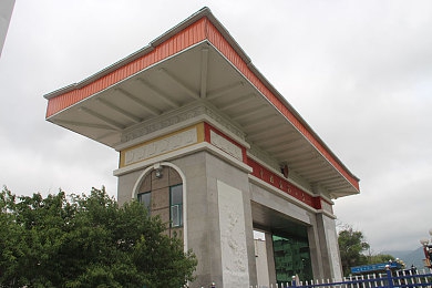 播种都市下载小熊移植｜都市田园梦想，小熊移植助力绿色畅游-2