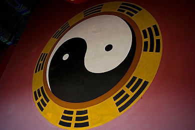 妞干网视频｜短视频浪潮涌动，＂妞干＂现象透视新潮流-2