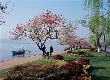 黄色APP免费下载安装｜神秘探险解谜之旅，免费体验角色扮演乐趣-4