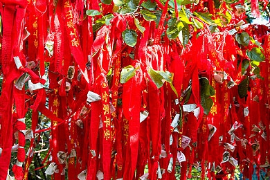 手机福利导航｜手游秘境探险指南，一网打尽宝藏乐园-2