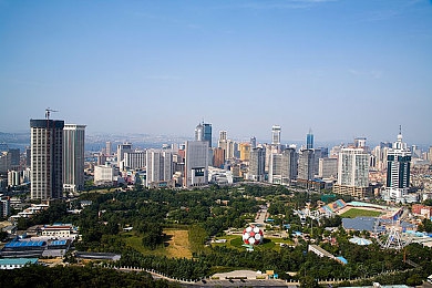 丁香花五月激｜春意盎然丁香盛，探寻自然之美之旅-4
