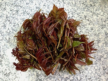 小黄片免费观看电视剧的特色｜免费观影新潮流：揭秘小黄片平台电视剧的独特魅力与挑战-4