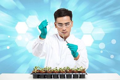 麻豆是传媒官方直接｜网红新纪元：传媒变革下的互动传播盛宴-4