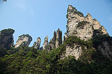 黄色软件下载。303-5