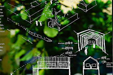 黄色软件大道｜星际探险：寻迹失落的黄色奥秘-3