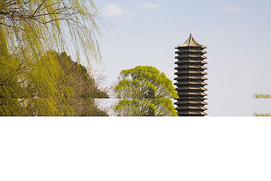 打扑克又疼又痒的软件｜创新交互体验引领潮流：社交娱乐新宠“刺激又痒”软件走红热议-2