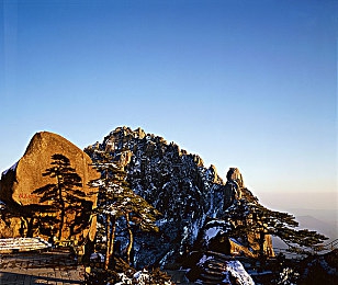 丁香五月婷婷社区｜绿色家园典范，丁香五月引领城市宜居新潮流-4