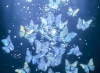 黄片视频3.03｜净网先锋，守护心灵——共创清朗网络空间-4