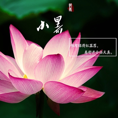 男女日逼软件｜日逼软件助你轻松拓展社交圈，体验全新互动乐趣，快来看看吧！-3