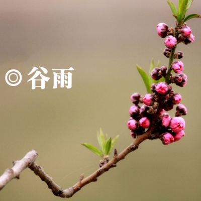 打扑克不盖被子软件下载｜创新扑克盛宴：“不盖被子”软件，打造视觉智慧双重享受-3