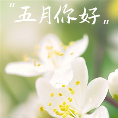 黄网app｜穿越黄网，解锁虚拟探险之旅-3