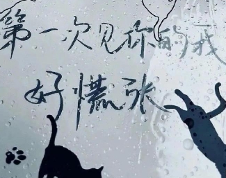 蘑菇视频APP怎么下载安装｜畅享短视频，趣味无限，蘑菇视频邀你共舞-3