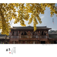 全国十大禁网app｜揭秘网络暗流：揭秘禁用app惊悚内幕，警惕十大神秘平台风险-4