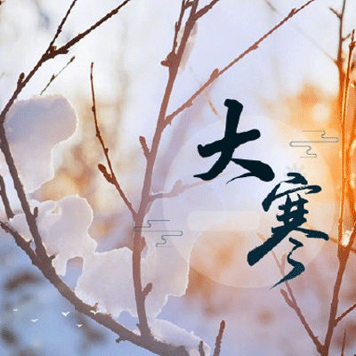 胸片曝光2025已更新软件｜AI诊断升级，健康资讯无限，便捷问诊在指尖——探索未来医疗新体验-5