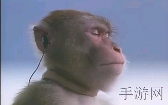 黄色软件3.0.3免费vivo版破解大全2024｜揭秘新版本：《黄色软件》3.0.3免费vivo版破解攻略及亮点-2