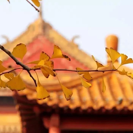 十八岁已下禁用｜我国加强青少年网络安全，游戏平台实名制及防沉迷系统实施引发热议-5