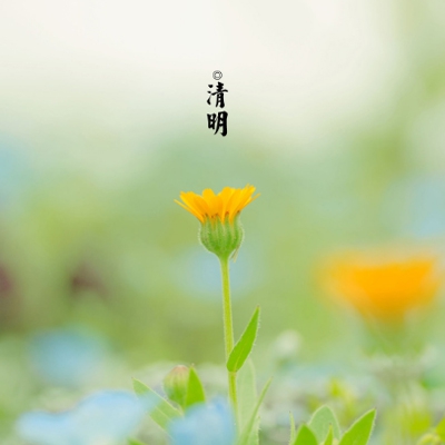 看美女不穿衣软件｜网络争议焦点：隐私泄露与女性权益，揭秘“脱衣美女”软件伦理风波-5