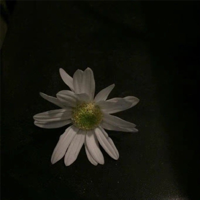 欧美大白屁股眼