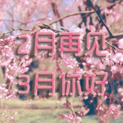 男女免费差差差｜性别互动新体验，趣味游戏释放压力-3