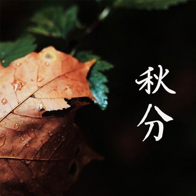 筷子放屁里不许掉怎么办｜“唇间挑战，笑破肚皮——筷子放屁游戏大考验”-5