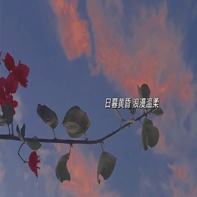 蜜桃在线｜甜蜜互动领航，娱乐新天地绽放光彩，蜜桃平台创新潮流引领者-4