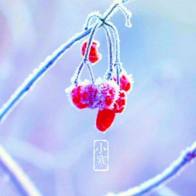 早期台湾永珍时装秀｜时尚启航：揭秘永珍传奇，亚洲时尚风云录-5
