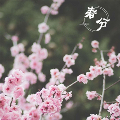 性护士｜揭开性护理之谜：探寻神秘职业背后的历史与挑战-5
