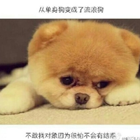 艾熙白老师的全部作品和作品评价｜揭秘艾熙白：作品全解析，情感共鸣，心灵鸡汤作家魅力再续-5
