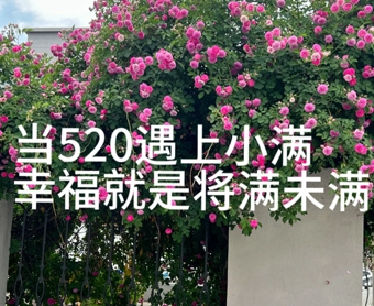 怎么下载黄色软件3.0.3｜揭秘“黄软3.0.3”：网络安全警钟长鸣，共筑清朗网络防线-5