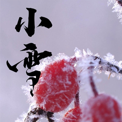 a在线天堂｜游戏新纪元，A在线天堂：铸就玩家乐园，共筑行业辉煌-4