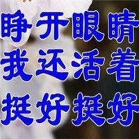 303免费oppo版破解大全免费下载图片｜手机个性焕新秘籍，Oppo功能解锁达人-3