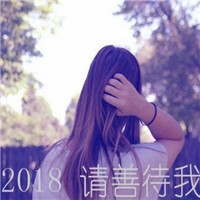 这里只有精品996｜沉浸奇幻，畅享精品：探索《这里》冒险之旅-5