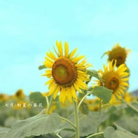 给大家科普一下操逼软件｜解锁游戏新境界：操逼软件，助你高效畅游的秘密武器-4