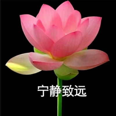 打扑克又喊又叫｜扑克狂欢夜：激情对决，欢笑尖叫声中探寻娱乐真谛-4