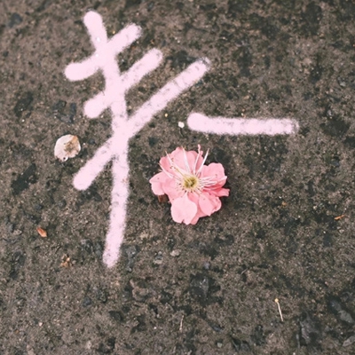 17c网｜探秘游戏玩家天堂：揭秘热门资讯平台，解锁17c网攻略秘籍-4