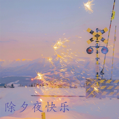 刘涛大战三个黑人老外｜文化碰撞，友谊交响：国际交流盛宴-4