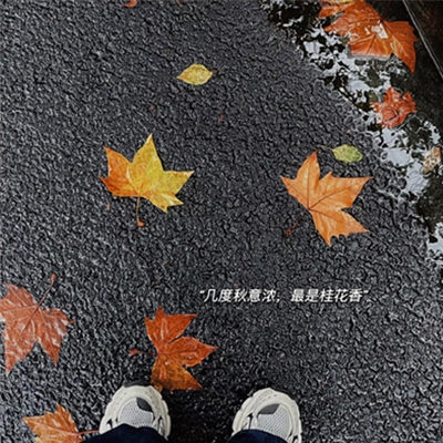 天美麻花星空电影免费｜光影跃银河,跨界暖流重塑文化普惠新范式-5