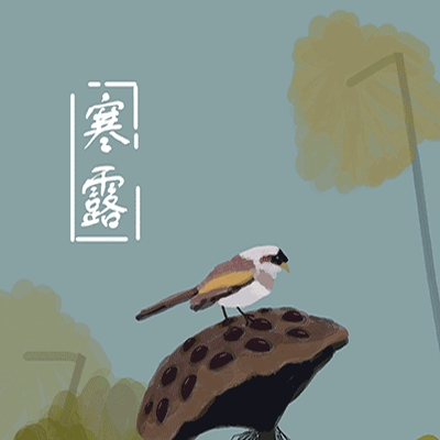 免费打扑克做运动｜新型社交风尚兴起：扑克娱乐健身两不误，年轻人追捧潮流运动-2