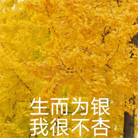 能看女生裸体的软件｜裸艺盛宴，互动畅游虚拟秘境-1