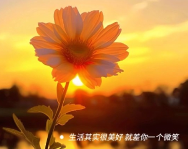 国产乱伦app｜网络乌云散去，伦理守卫战再起-5