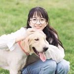 黄色下载3. 0.3｜下载革新里程碑，智能寻宝新篇章-3