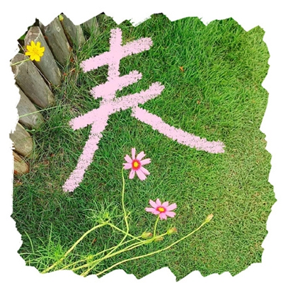 男生女生差差差网站｜性别差异热议再升级：社交平台揭秘社会现象，共筑平等和谐新篇章-3