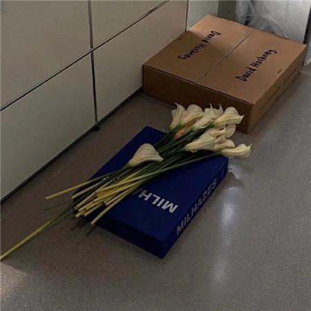 91中文乱幕日产无线码区｜网络乱象频发，＂91中文乱幕＂事件警示：加强监管，共筑清朗网络空间-3