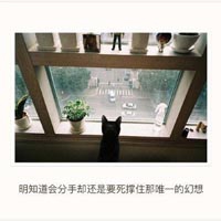 黄色直播软件app3.0.3｜网络直播乱象频发，呼吁严监管，共建清朗网络环境-3