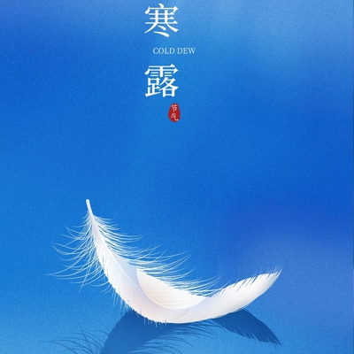 99re思思热｜创意火花，深度互动，网络文化盛宴-2