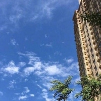 黄色标志软件下载voiv3.03｜全新升级！知名软件VOIV 3.03震撼发布，功能全面优化引热议，用户体验再升级-2