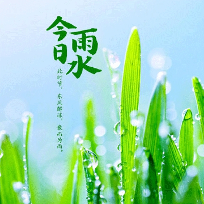 2018中文字幕｜字幕穿梭，文化盛宴共赏-5