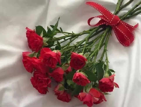 男女差差视频app｜趣味性别解码，轻松笑对生活差异-3