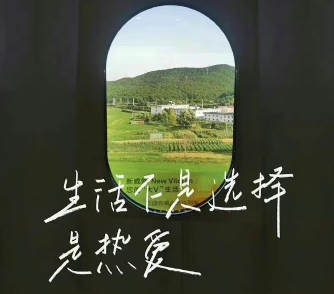 OPPO黄色免费下载｜时尚阳光，个性解锁，畅享独特手机魅力体验-2