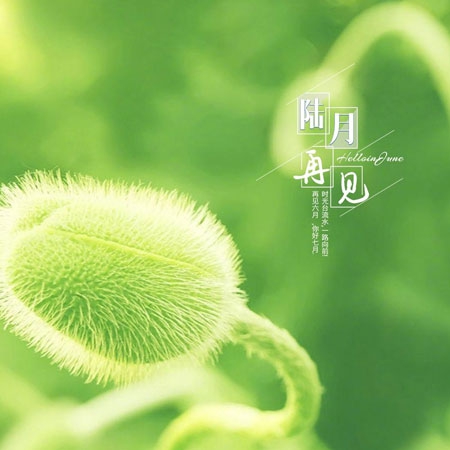 护士内体She精2XXX｜护士不当行为视频引发热议：医疗伦理风波拷问职业道德-4